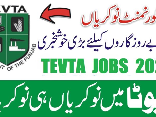 TEVTA Punjab Jobs 24 tevta jobs 600x450 1
