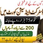 District and Session Judge
