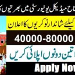 Fatima Jinnah Medical University