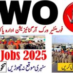 Frontier Works Organization