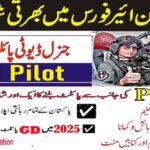 Pakistan Air Force