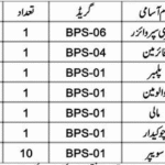 Municipal Committee Machh Jobs