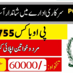 PO Box 755 Karachi Jobs
