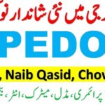 Energy Development Organization