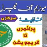 Pakistan Museum