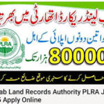 Punjab Land Record Authority
