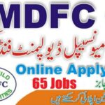 All JObs 17 Punjab Municipal Development Fund Company