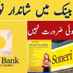 Soneri Bank