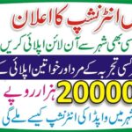 WAPDA Internship Program