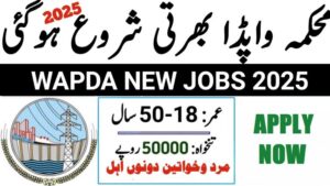 Water and Power Development Authority