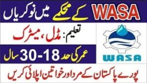 Water and Sanitation Agency WASA