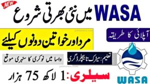 Water and Sanitation Agency
