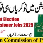 Assistant Election Commissioner Jobs 2025