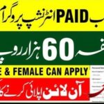 Punjab Agriculture Graduate Internship