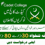 Cadet College Wana