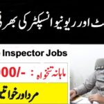 Enforcement and Revenue Inspector