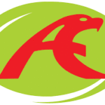 Attock Petroleum Limited